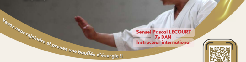 Stage Sensei P. LECOURT – Nov 2026